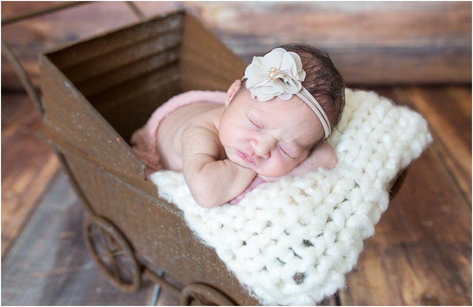 Baby Estela Oahu Newborn Haole Girl Photography